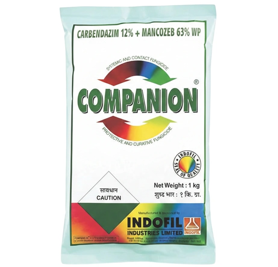 Indofil Companion Carbendazim 12% + Mancozeb 63% WP Fungicide Effective Against Multiple Fungal Diseases