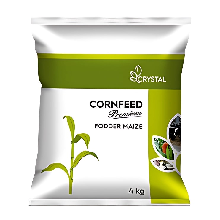 Crystal Cornfeed Premium Fodder Maize Seeds, High Yield, Suitable For Kharif And Rabi Seasons