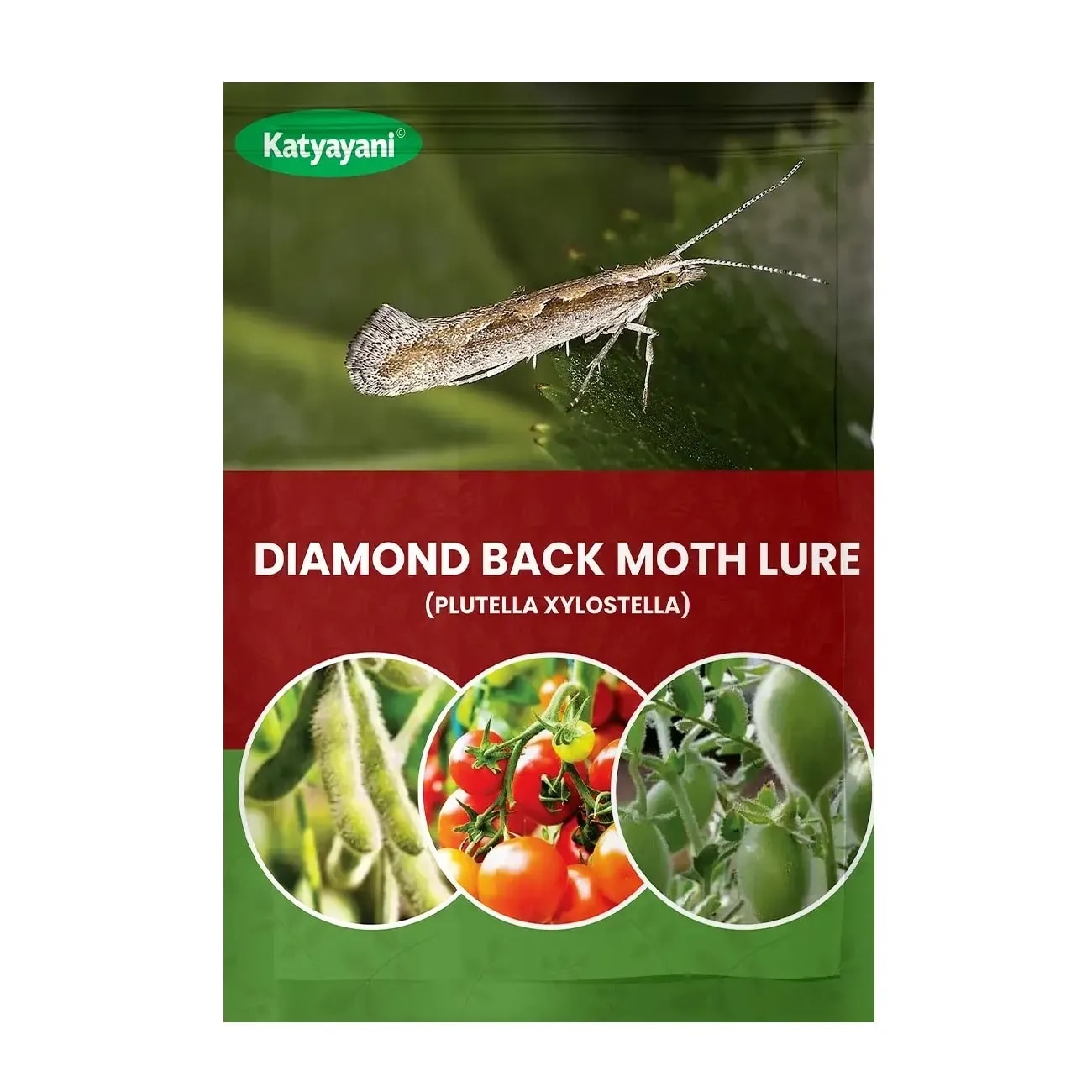Katyayani Diamond Back Moth Lure (Plutella Xylostella), Effective Pest Control For Cruciferous Crops