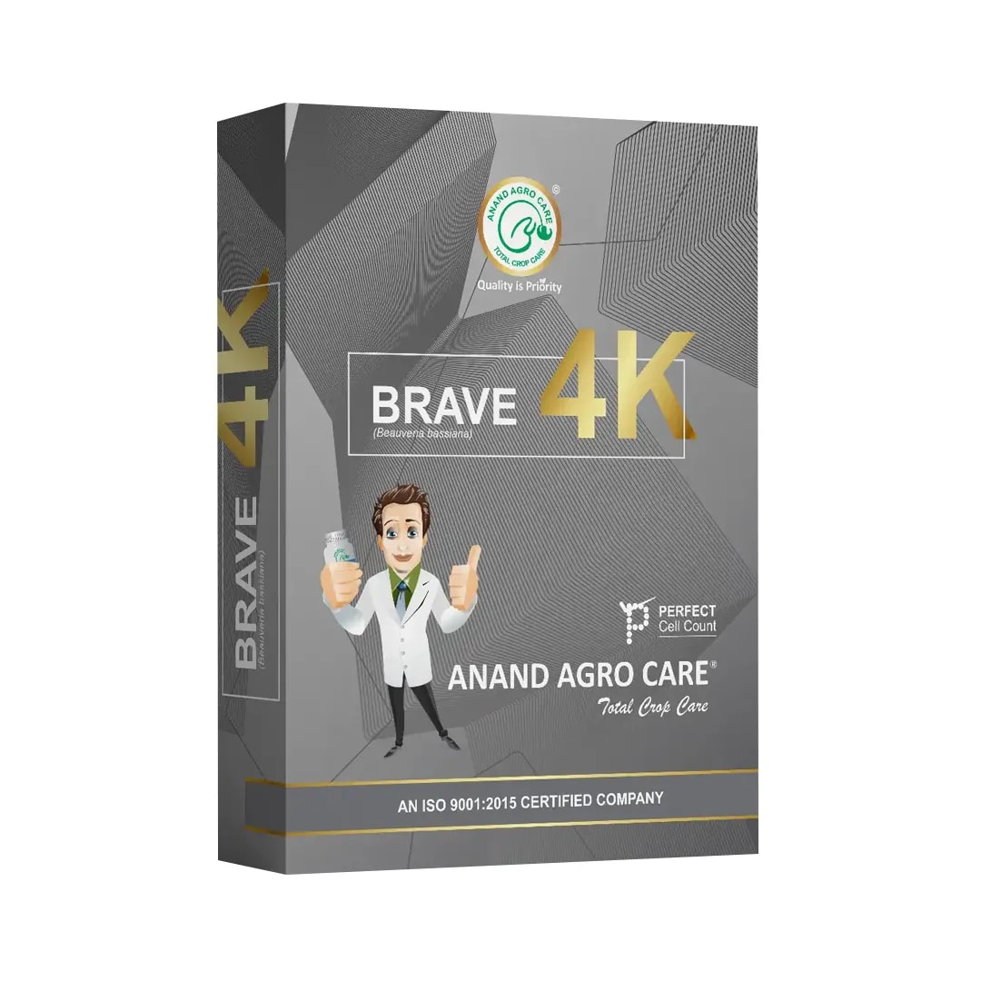 Dr. Bacto\'s Brave 4K Is Beauveria Bassiana Based On Dextrose Base Technology