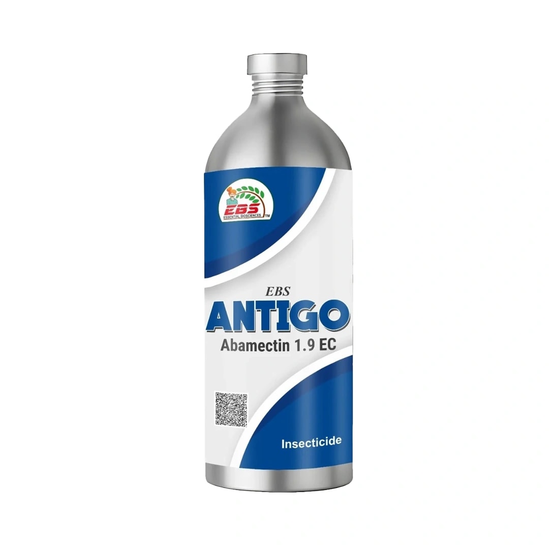 EBS Antigo Insecticide