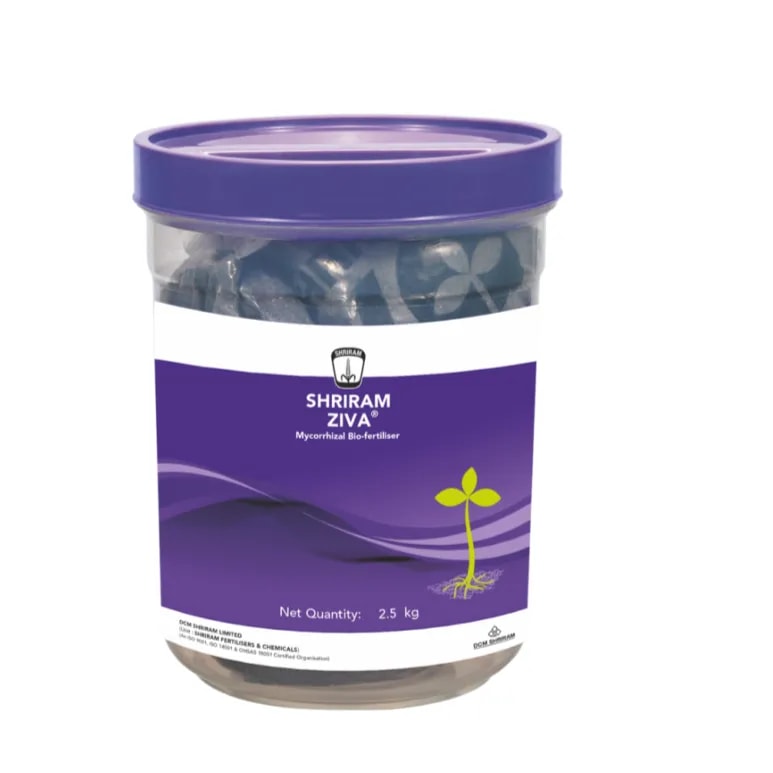 Shriram Ziva (Soil) Mycorrhiza Bio-Fertiliser, Soil Application In Various Crops
