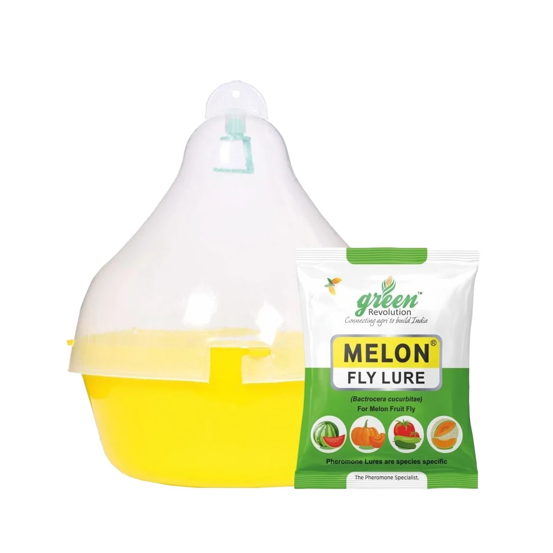 Maxplus Trap With Melon Fly Lure, For Controlling Bactrocera Cucurbitae, For Water Melon, Musk Melon, Cucumber, Bottle Gourd, Pumpkin, all Vegetables