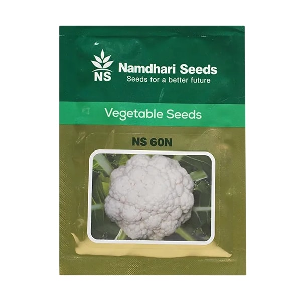 Namdhari NS 60N F1 Hybrid Cauliflower Seeds, Early Maturity, Semi Dome White Curds