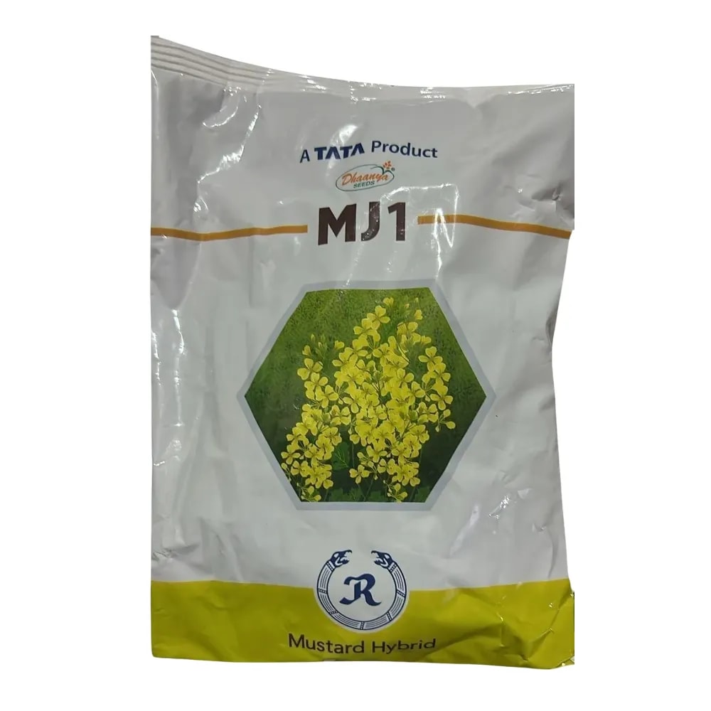 TATA Rallis MJ1 F1 Hybrid Mustard Seeds, Sarso Ke Beej, Long Duration Variety