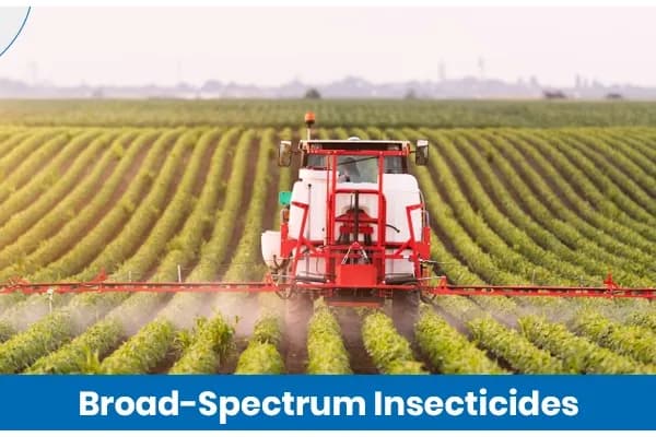 Broad-Spectrum Insecticides: What They Are and How Do They Prevent Crop Loss?