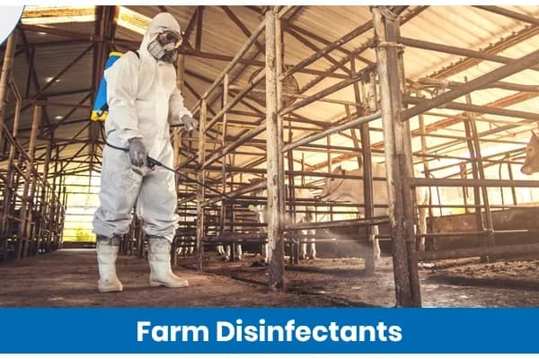 Disinfectants in Agriculture: Effective Remedies for Farm Sanitation