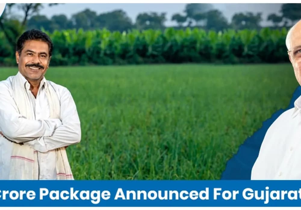 Gujarat CM Announced 10,000 Crore Relief Package For Farmers