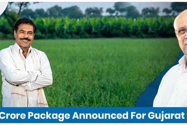 Gujarat CM Announced 10,000 Crore Relief Package For Farmers