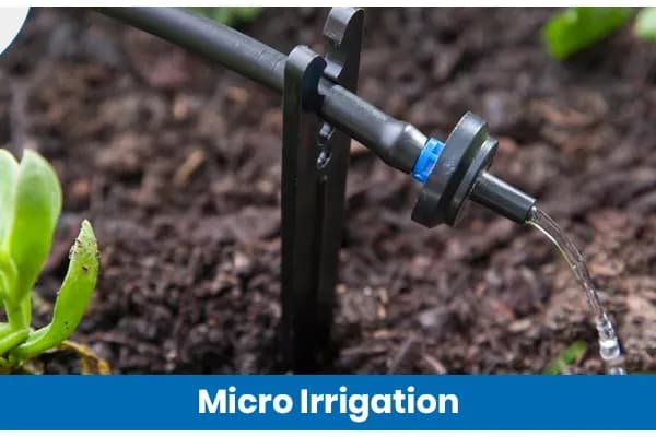 Micro Irrigation: How It Works, Benefits and Future Potential