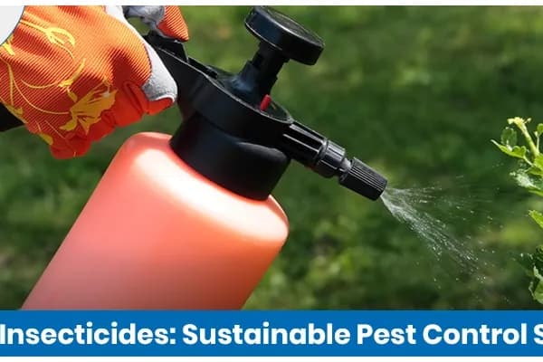 Organic Insecticides: Sustainable Pest Control Solutions