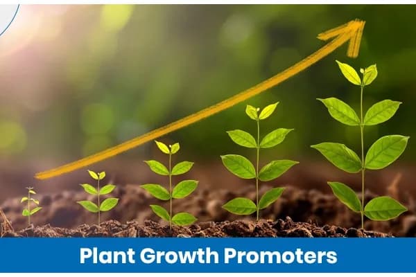 Plant Growth Promoters in Agriculture: Types, Benefits, and Uses