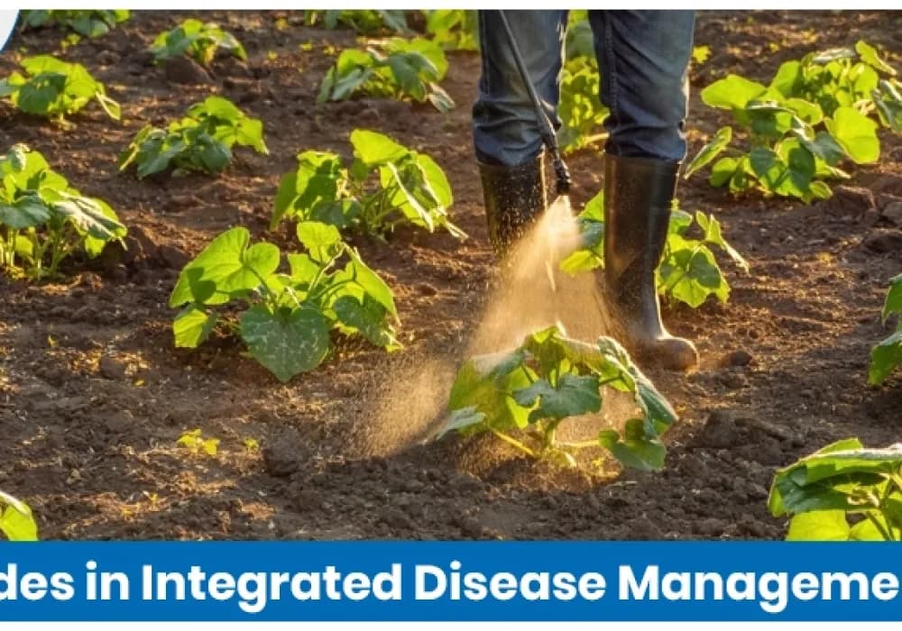 The Role of Fungicides in Integrated Disease Management (IDM)