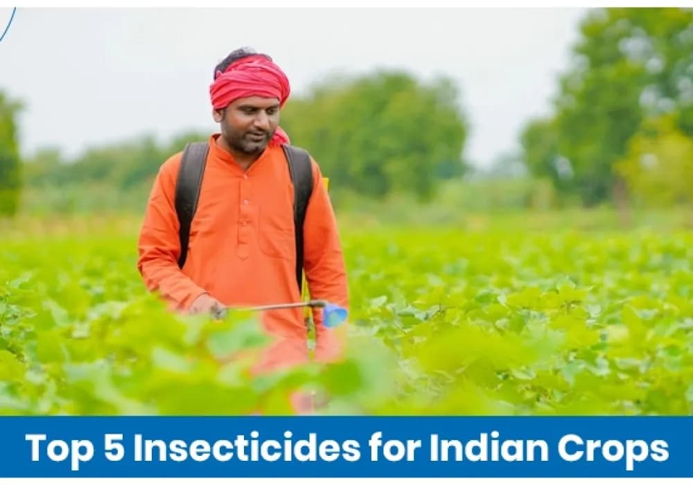 Top 5 Insecticides for Indian Crops in 2025
