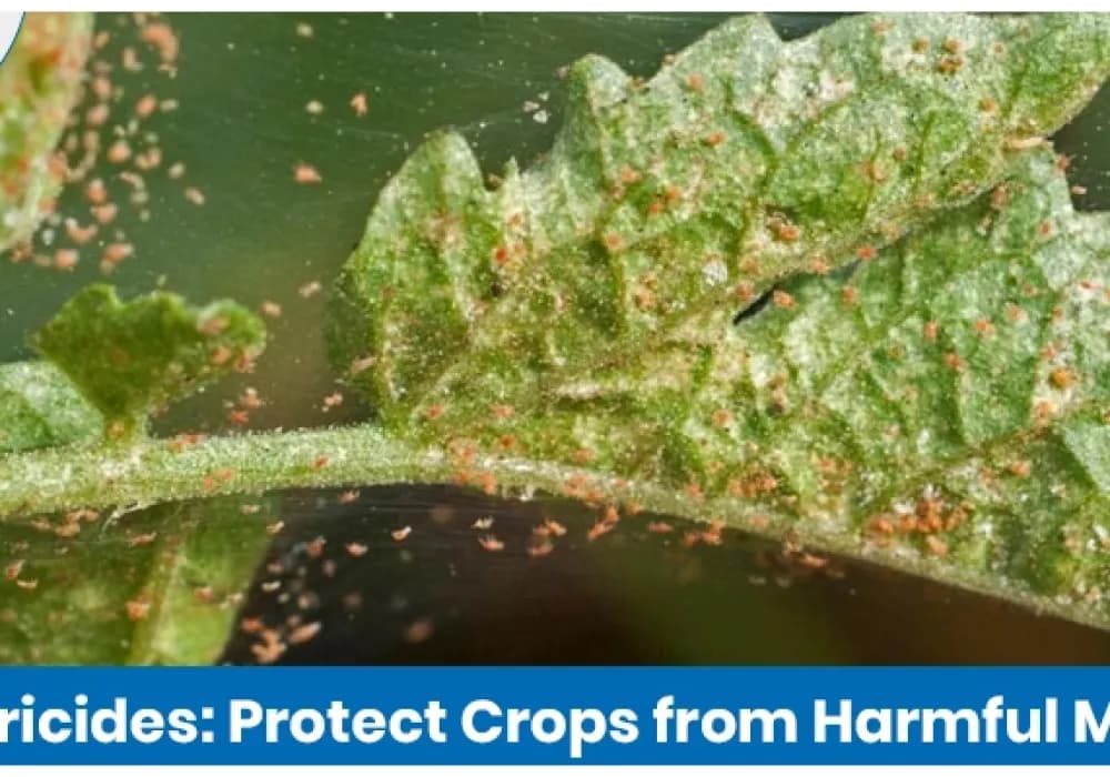 Types of Acaricides Used in Agriculture and Their Applications