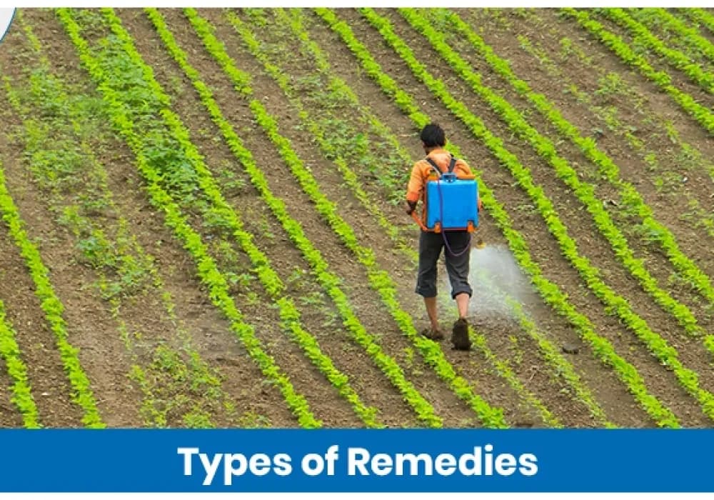 Types of Remedies Used in Modern Farming and Their Benefits