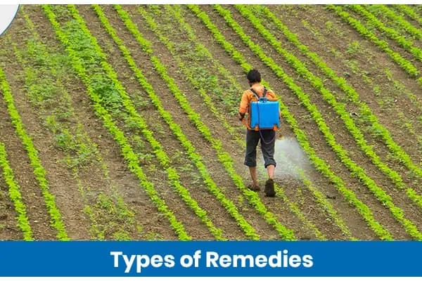 Types of Remedies Used in Modern Farming and Their Benefits