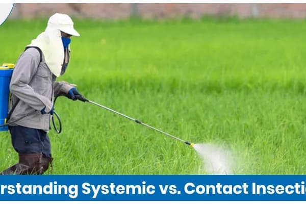 Understanding Systemic vs. Contact Insecticides In Agriculture