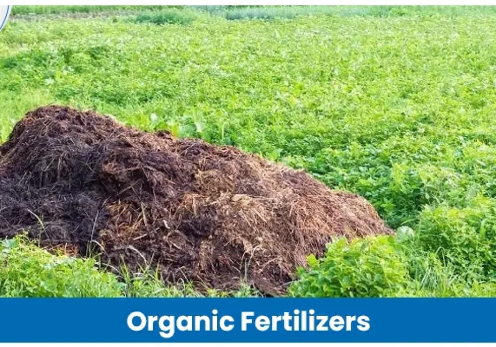 What are Organic Fertilizers for Plants? And How they Boost Soil & Crop Health?
