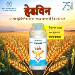 TATA Rallis HEADWIN Azoxystrobin 18.2% + Difenoconazole 11.4% SC Fungicide, Broad Spectrum For Disease Control And Crop Health 2