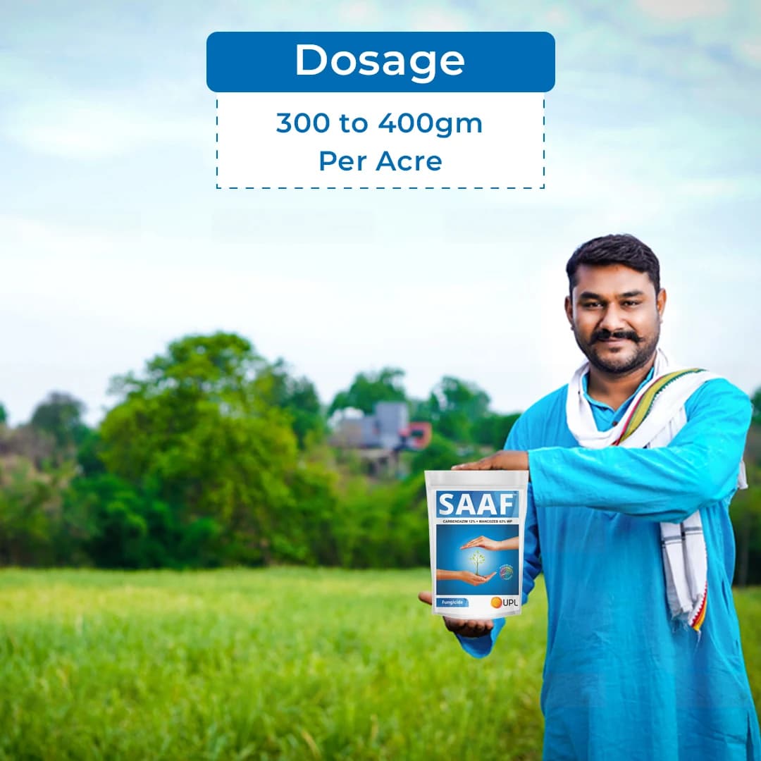 UPL Saaf Fungicide - Dual Action Broad Spectrum Controls Leaf Spot, Early Blight, Late Blight & Powdery Mildew in Chilli, Grapes, Mango, Paddy, Potato, Maize, Tea & Groundnut - Image 5