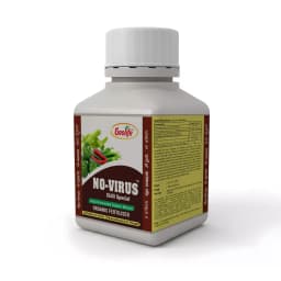 Geolife No-Virus Chilli Special, Liquid Fermented Organic Manure, Vriksha Ayurveda Inspired, Organic Fertilizer for Chilli, Improves Immunity & Yield, 3