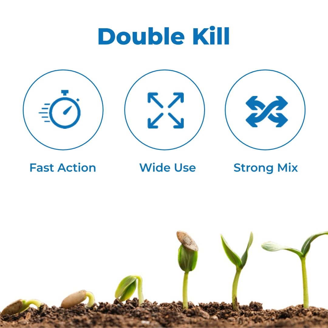 IIL Lethal Super 505 Chlorpyriphos 50% + Cypermethrin 5% EC Insecticide, Effective Against a Wide Range of Pests - Image 3