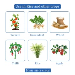 Hexabell - Hexaconazole 4% + Carbendazim 16% SC, Highly Effective Fungicide with Protective & Curative Action 4