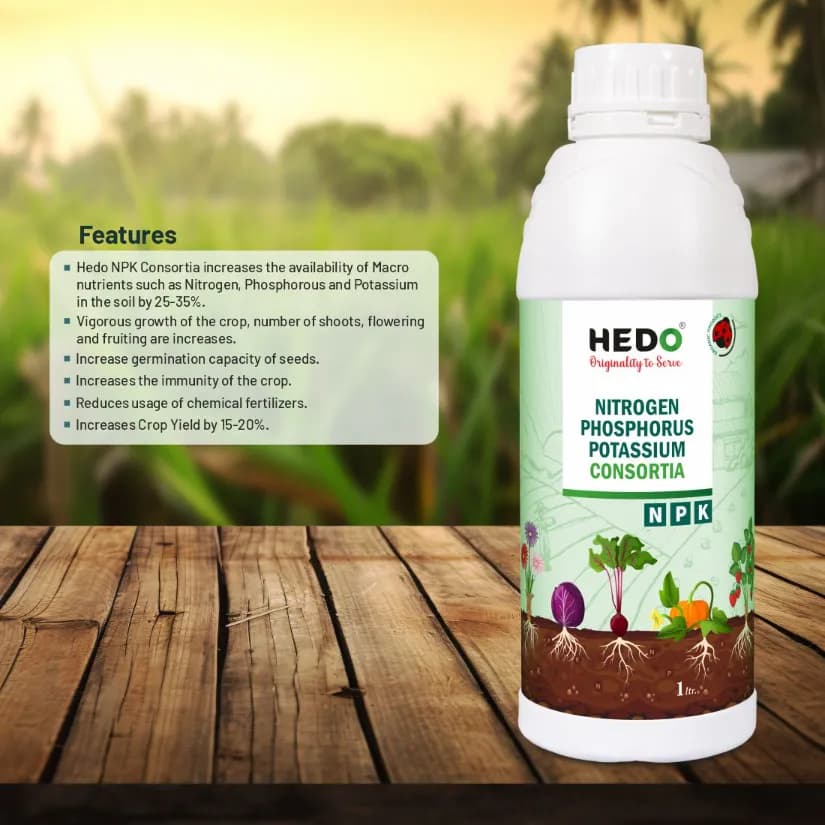 HEDO NPK Consortia (Bacteria) Liquid Bio Fertilizer For Agriculture, Garden, Soil Fertility And Plant Nutrition. - Image 3