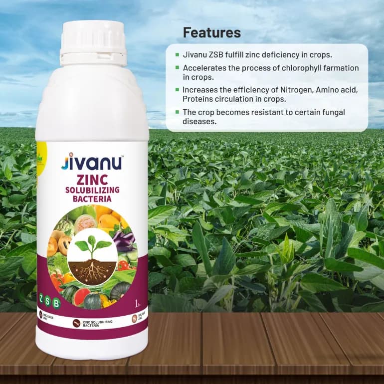 Green Revolution Jivanu ZSB Zinc Solubilizing Bacteria Liquid Bio Fertilizer, Boosts Soil Fertility And Sustainability - Image 3