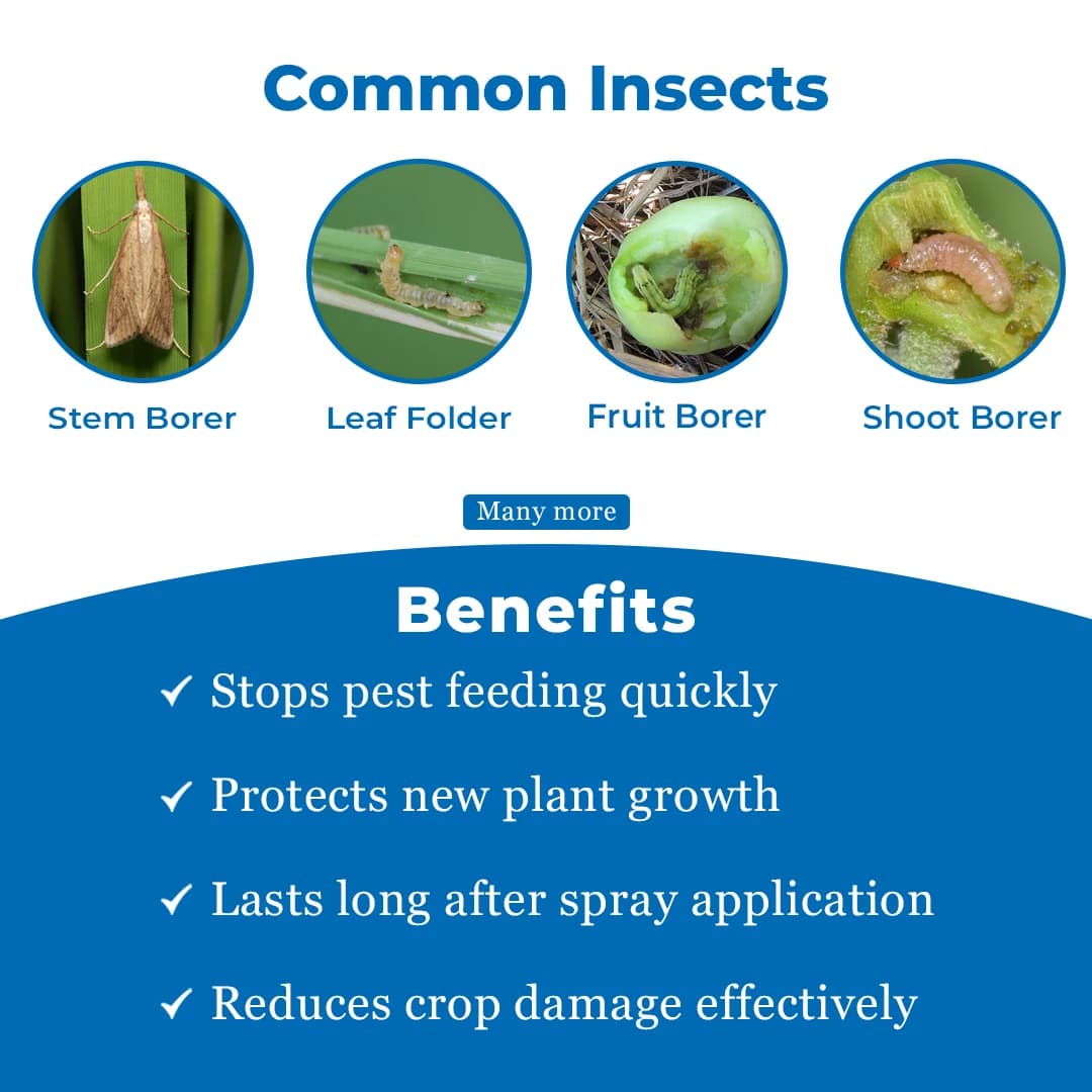 Hok Coffeeza Insecticide - Image 3