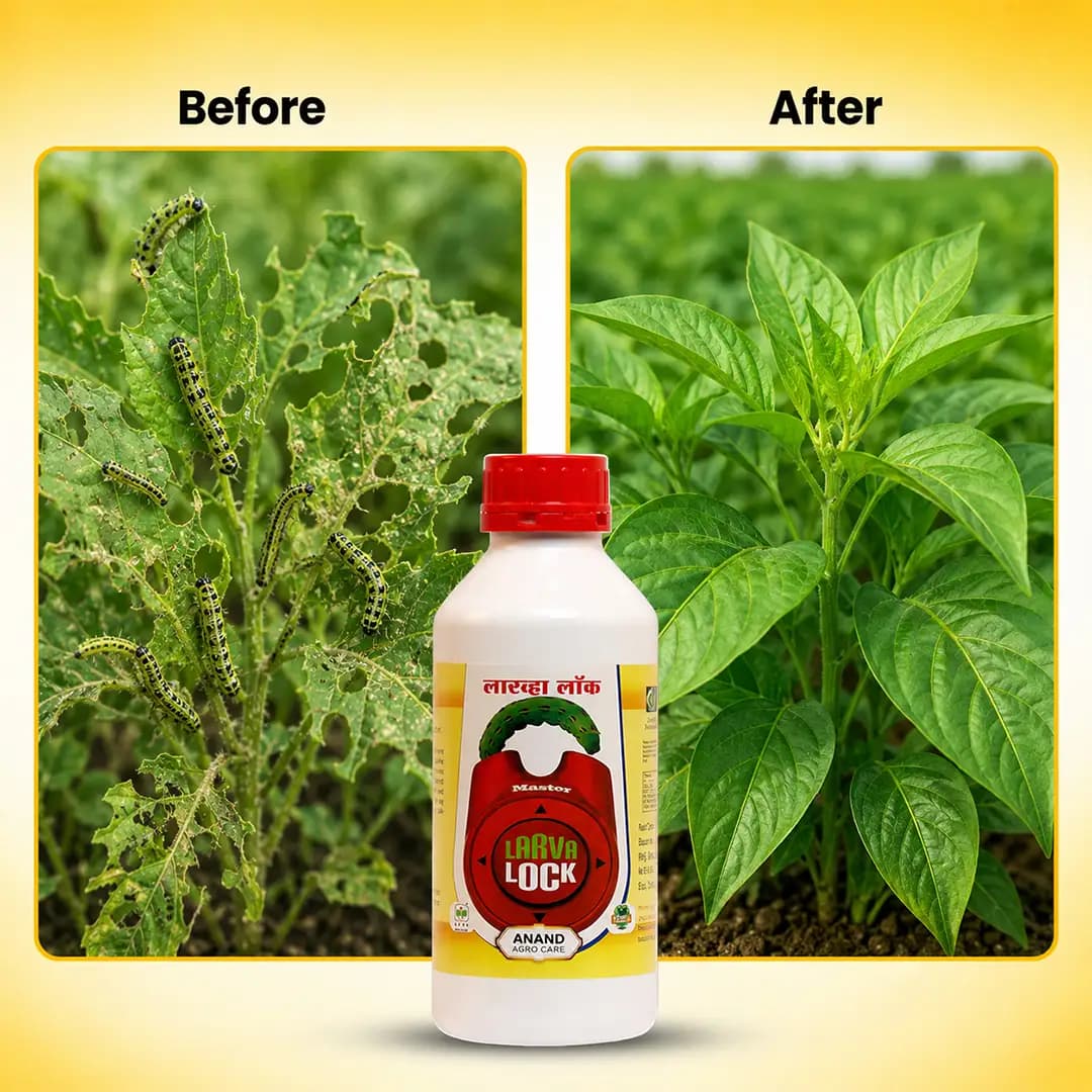 Anand Agro Larva Lock, Unique Formulation Of Different Botanical Extracts, Targets Caterpillars And Larvae At All Developmental Stages. - Image 3