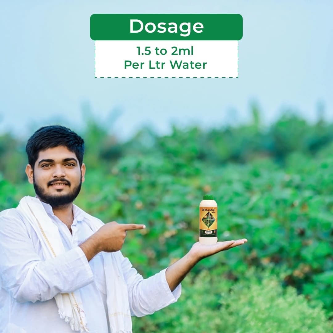 Anand Brilliant Flowering Stimulant, Increases The Yield By Improving The Flowering And Fruit Setting - Image 5