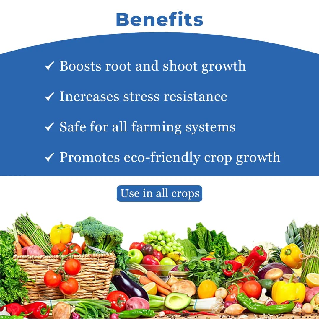 Seaweed Extract A Natural Organic Fertilizer, Natural Highly Specialized Bio Stimulant. - Image 4