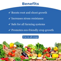 Seaweed Extract A Natural Organic Fertilizer, Natural Highly Specialized Bio Stimulant. 4