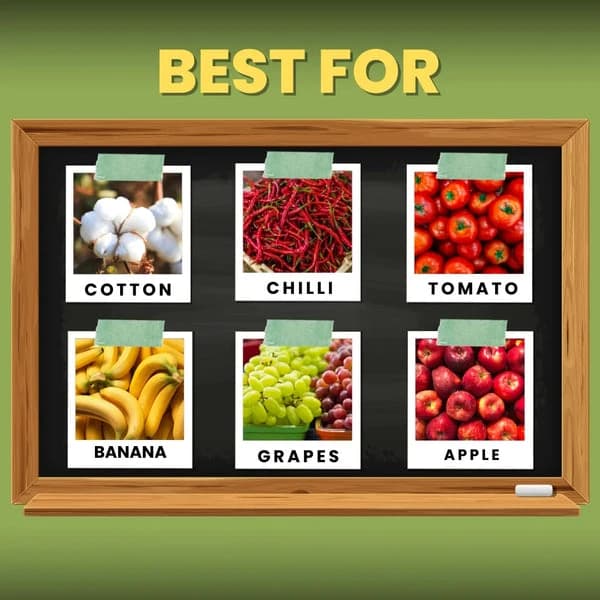 Katyayani Bloom Booster Homobrassinolide 0.04% Plant Growth Regulator, Use for Cotton, Brinjal, Chili, Banana, Cabbage, Cauliflower, Vegetables, Fruit - Image 4