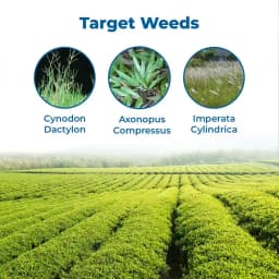 HPM GARUD (Glyphosate 41% SL) Non Selective Systemic Herbicide with Rapid Translocation 3