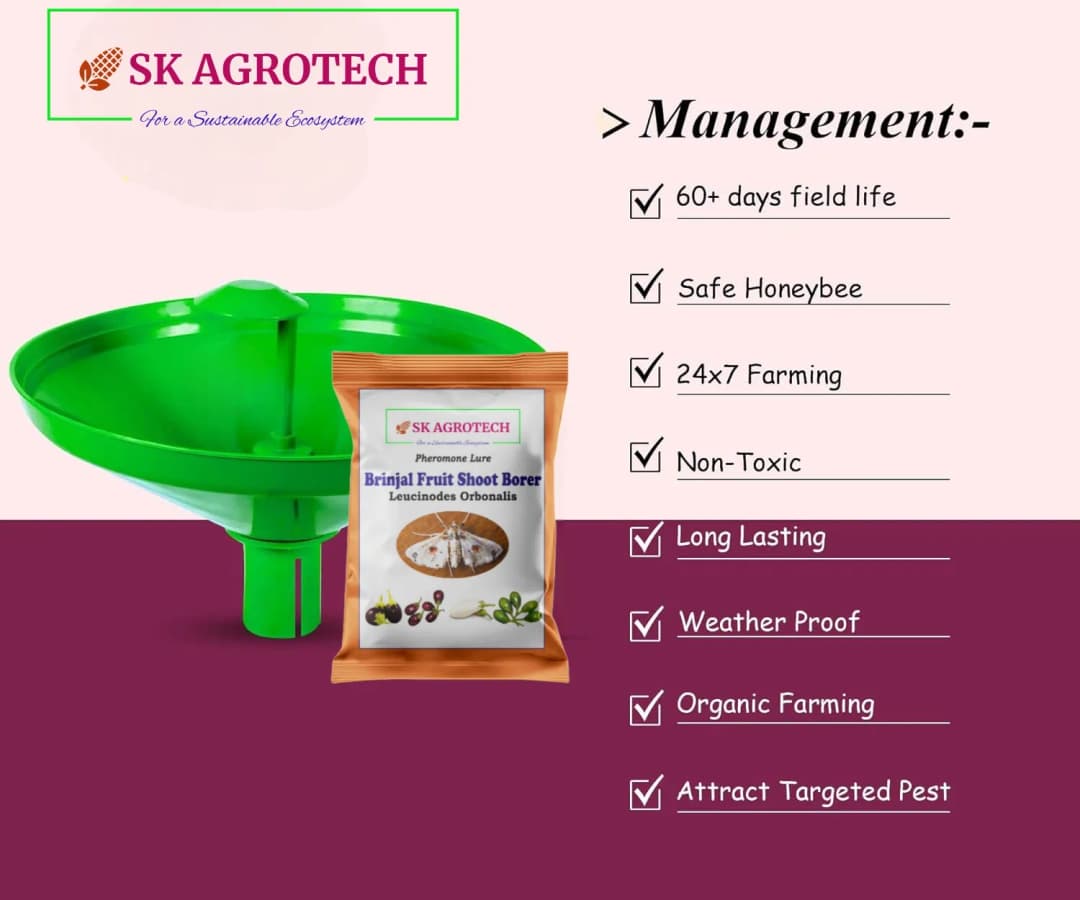 SK Agrotech Leucinodes Orbonalis (Brinjal Fruit and Shoot Borer) Pheromone Trap With Lure - Effective Pest Management Solution - Image 7