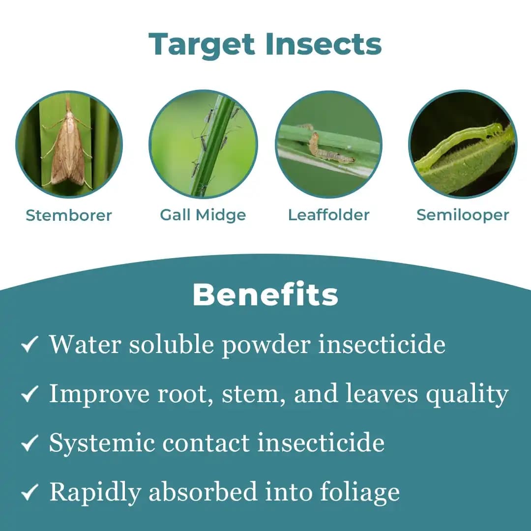 Emoxam - Emamectin Benzoate 3% + Thiamethoxam 12% WG, Powder Insecticide for Plants. - Image 3