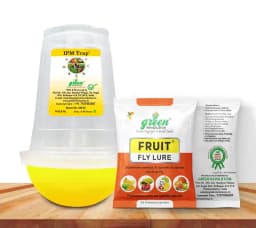 Fruit Fly pheromone Trap Set For 1 Acre and Lure For Bactrocera Correcta, Zonata, Dorsalisa. 1