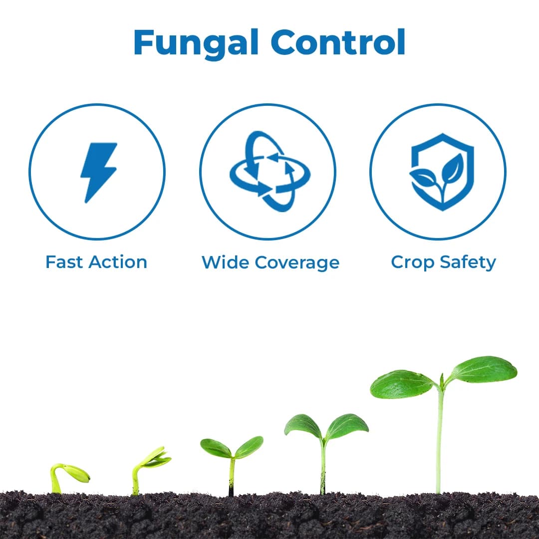 Rain Hexarin Plus Fungicide - Hexaconazole 5% SC - Image 3