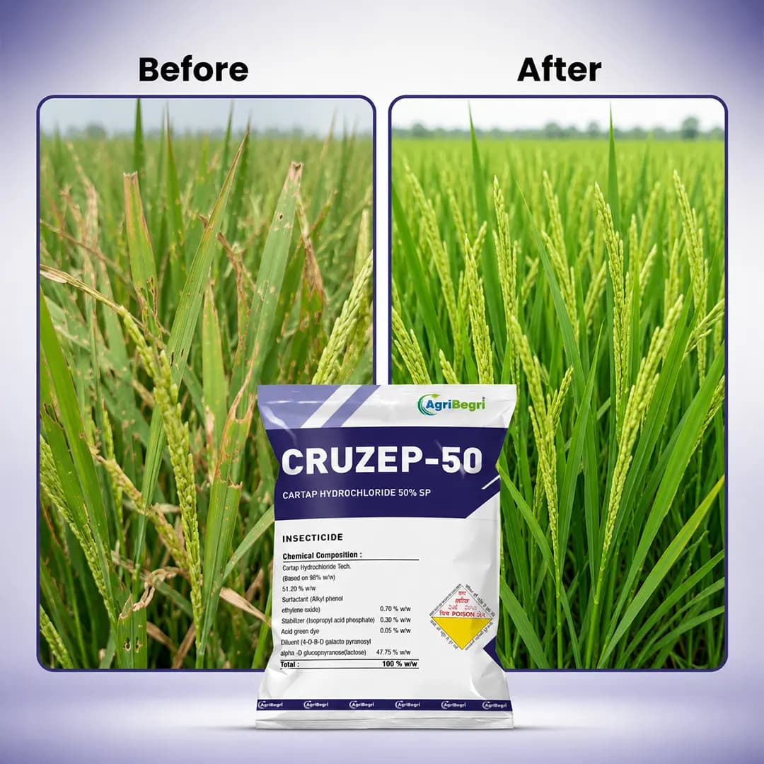 Cruzep-50 Insecticide - Cartap Hydrochloride 50% SP - Image 6