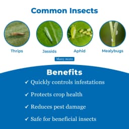 Pest Out Sucking Pest Controller Like., Thrips, Jassids, Hopper, Aphid, Whitefly, Mealy Bugs and Different Types of Pest 3