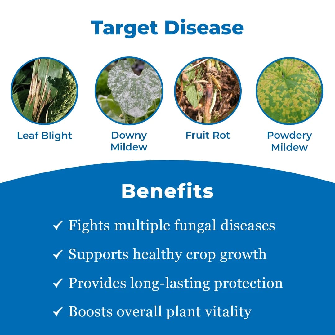 UPL Saaf Fungicide - Dual Action Broad Spectrum Controls Leaf Spot, Early Blight, Late Blight & Powdery Mildew in Chilli, Grapes, Mango, Paddy, Potato, Maize, Tea & Groundnut - Image 3