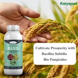 Katyayani Baxil Bacillus Supp 2% AS Liquid Bio Fungicide, Solution For Effective Control of Fungal Diseases In Crops 3