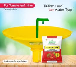 Water Pheromone Trap With TU-TOM Pheromone Lure (Tuta Absoluta ,Tomato Leafminer) for Tomato, Cherry Tomato, and Potato. 1