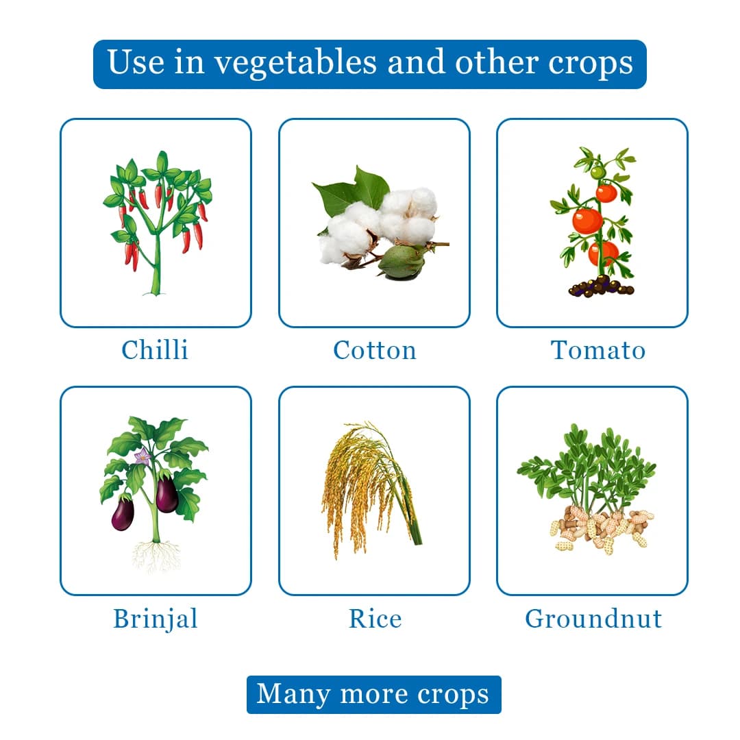 Bacf Sanda Lambda Cyhalothrin 5% EC Insecticide, Contact And Systematic Action - Image 4