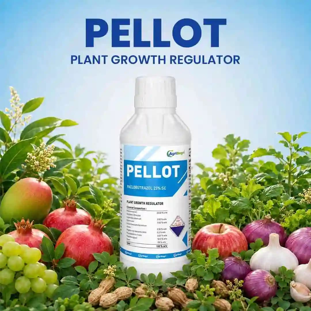 Pellot Plant Growth Regulator - Paclobutrazol 23% SC - Image 2