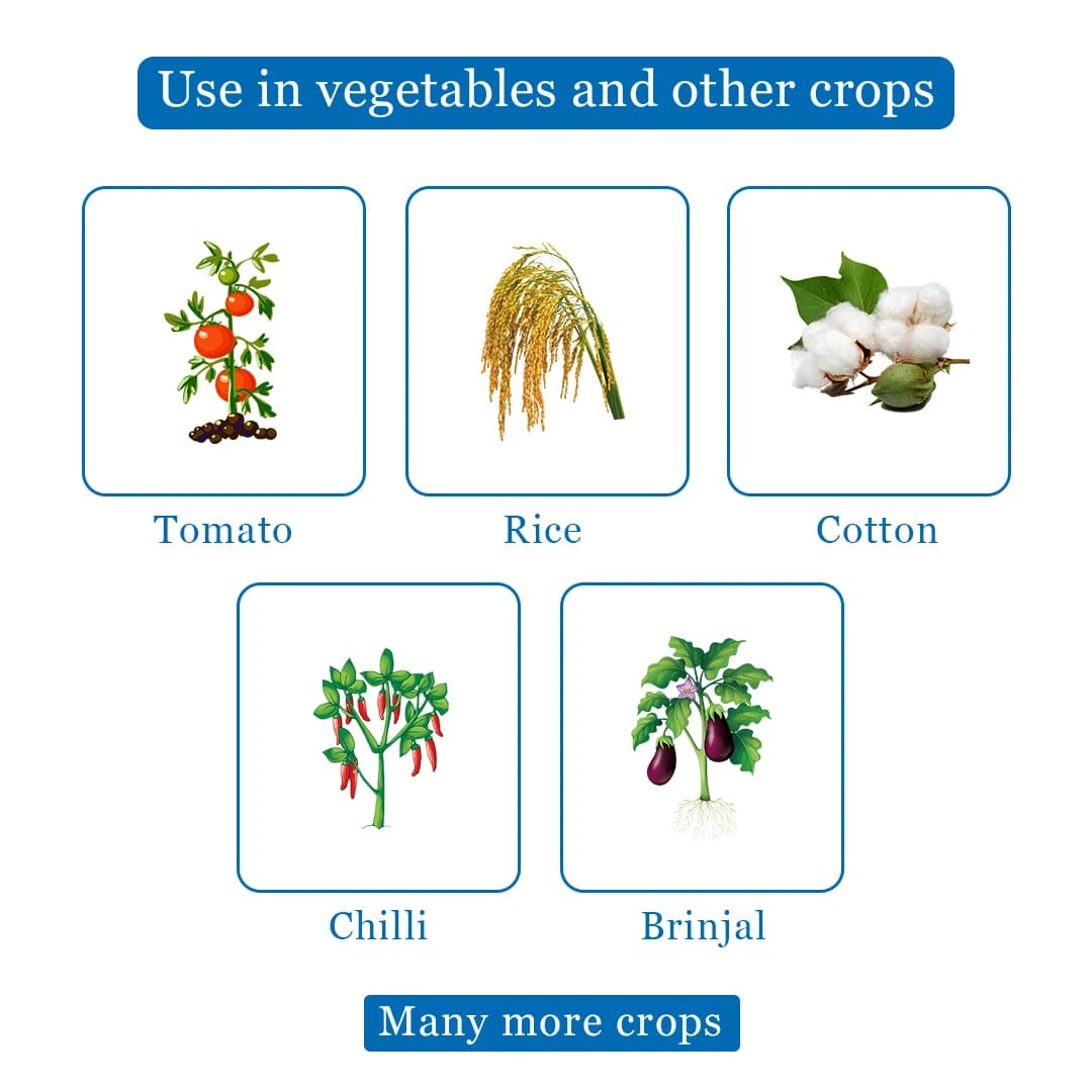 Shivalik Klogen Insecticide - Image 4