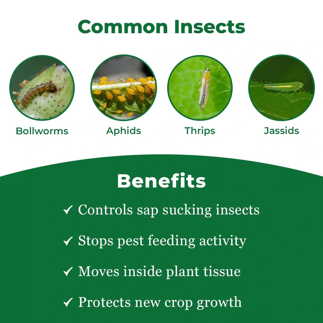 Exylon Impactor Insecticide - Image 4